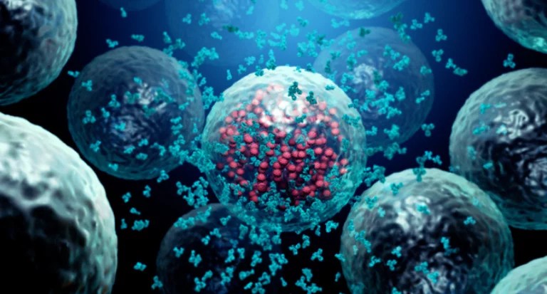 The Original Antigenic Sin: COVID-19 Vaccination and Sub-Optimal Initial Immune Priming Deranges the Antibody- Cytotoxic T cell Immune&nbsp;Response